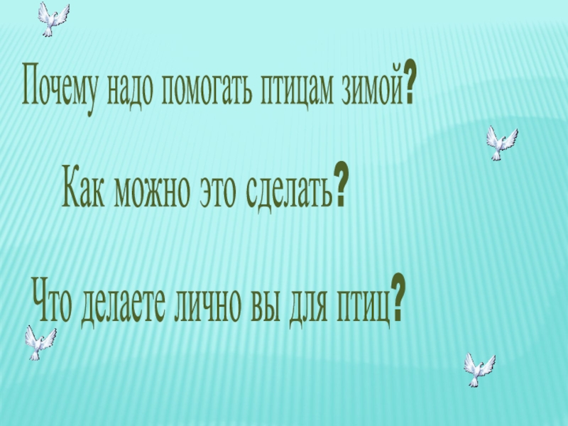 Почему надо помогать птицам зимой?Как можно это сделать?Что делаете лично вы для птиц?