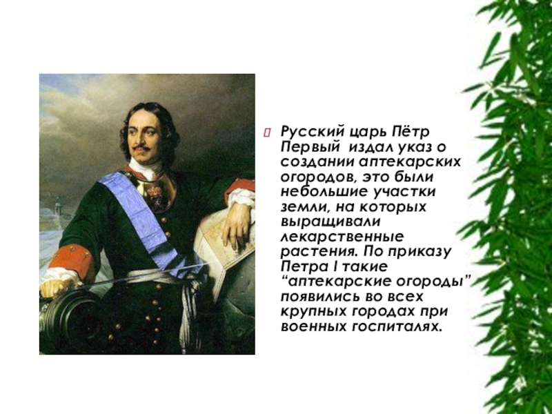 царский указ. указ о создании губерний петра 1. царь алексей михайлович 1653. аптекарский огород при петре 1. фамилия петра первого царя.