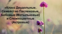 Презентация по биологии на тему: Класс Двудольные. Семейства Пасленовые, Мотыльковые (Бобовые) и Сложноцветные (Астровые)
