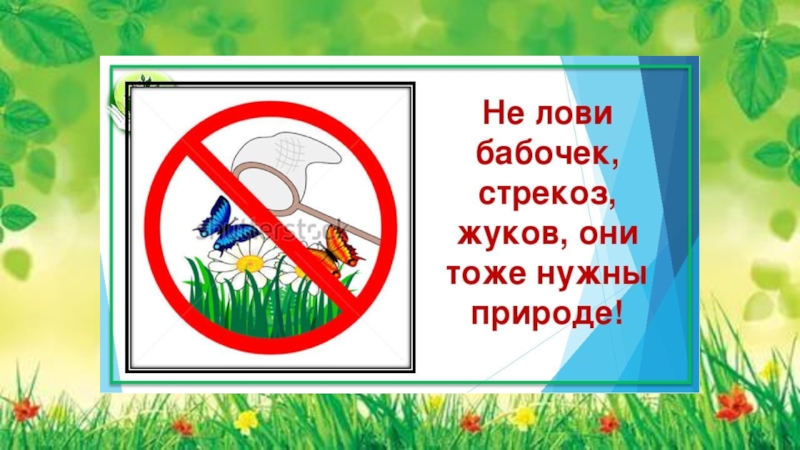 ПРЕЗЕНТАЦИЯ К КЛАССНОМУ ЧАСУ 1 КЛАСС НА ТЕМУ ПРИРОДА И МЫ