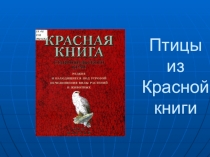 Презентация Птицы из красной книги