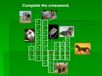 Кроссворд по теме: Животные. (Презентация)