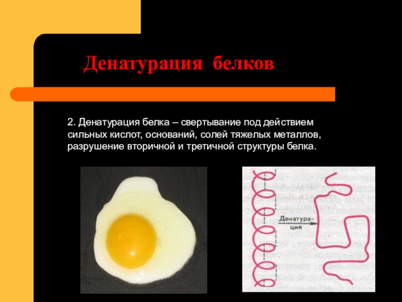 Белковый тест. Тепловая денатурация белка формулы. Денатурация белков под воздействием кислот. Денатурация белков кратко в биологии. Денатурация белка свертывание белка.