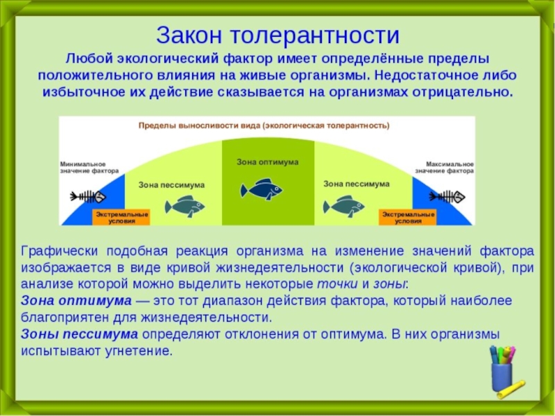 Экология экологические факторы презентация