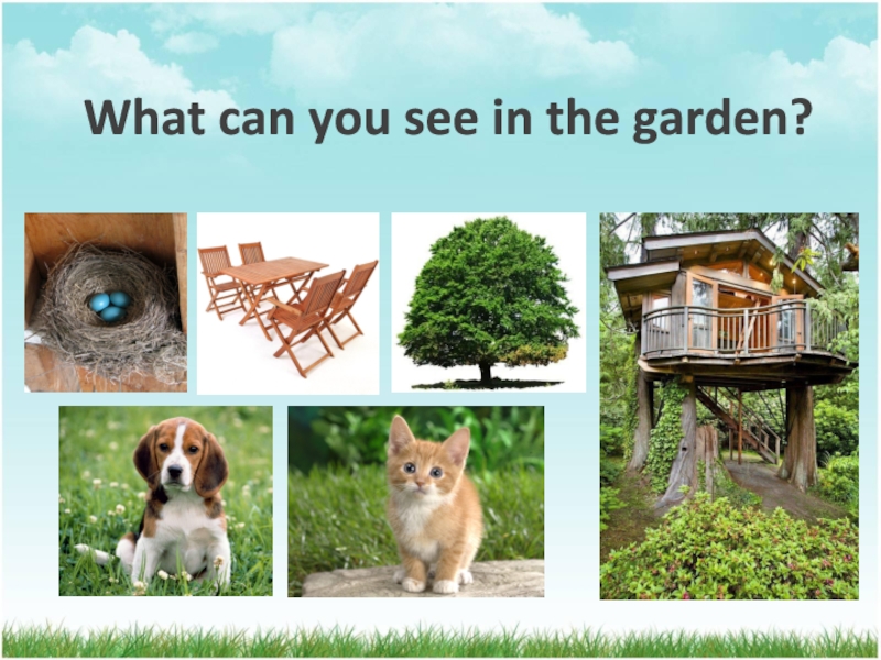 Сад 2 класс. Gardens in the uk 2 класс. What can you see. Спотлайт 2 Garden. Проект на тему my Garden.