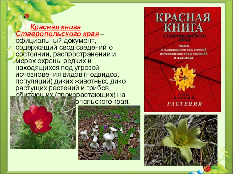 Красная книга ставропольского края презентация