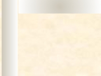 Презентация по экологии по теме  Портфельчик