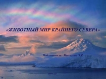 Презентация Животные севера по ознакомлению с окружающим миром в подготовительной группе