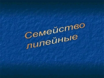Презентации по биологии на тему Лилейные
