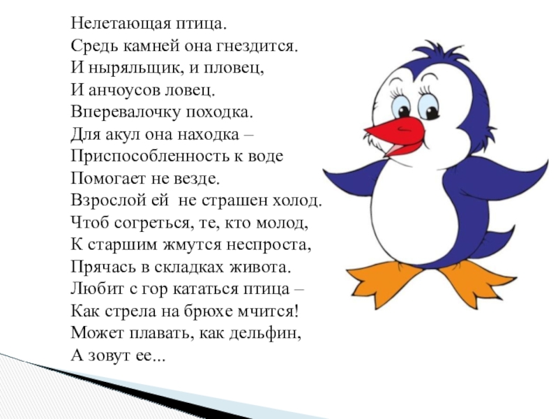 Проектная работа на темуКто такие пингвины?