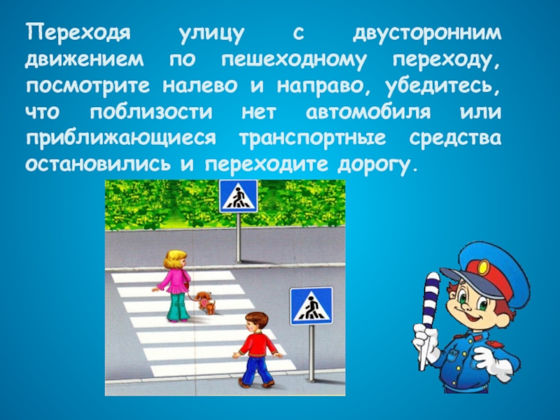 Документ пешехода. Правила дорожные соблюдать положено. Правила перехода улицы. Улица с двусторонним движением. Двустороннее движение пешеходный переход.