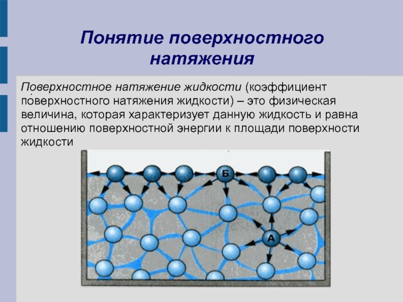 Презентация поверхностное натяжение жидкости 10 класс