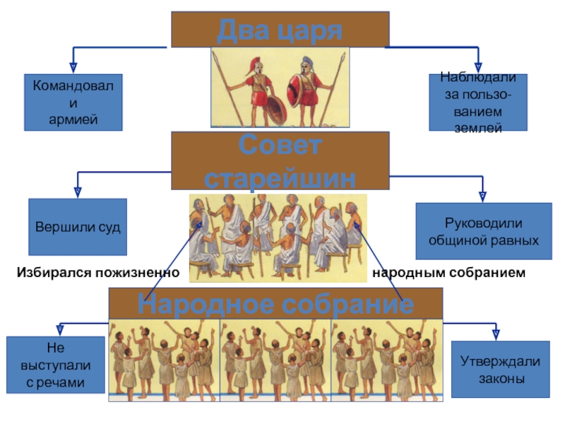 Схема политического устройства спарты