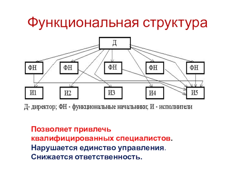 Функциональная. Функциональная структура. Функционально-структурную. Функциональная структура сети. Конструктивная функциональная структура.