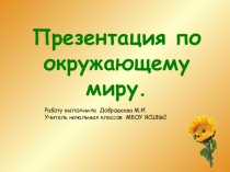 Презентация по окружающему миру:  ЖИВОТНЫЕ - ЖИВЫЕ СУЩЕСТВА