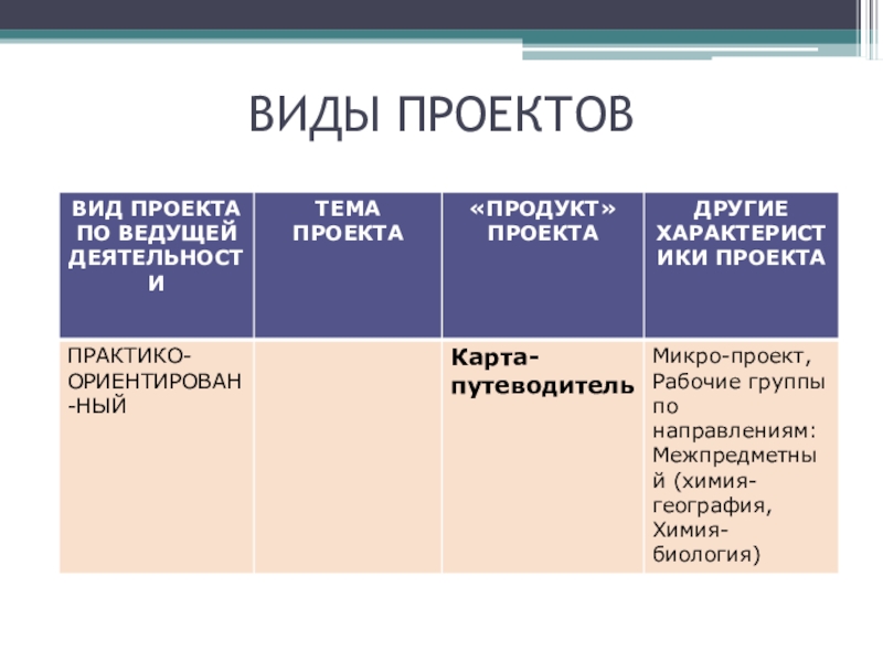 Форма продукта проекта