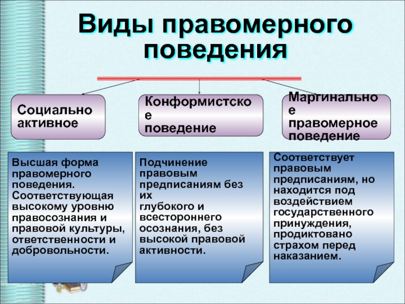 Правоотношения правомерное поведение 10 класс презентация