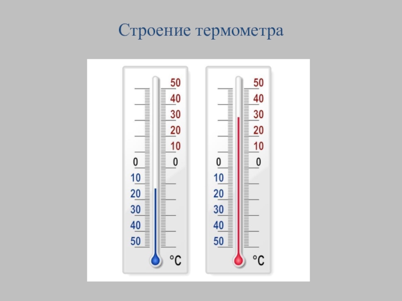 На рисунке представлены два термометра используемые