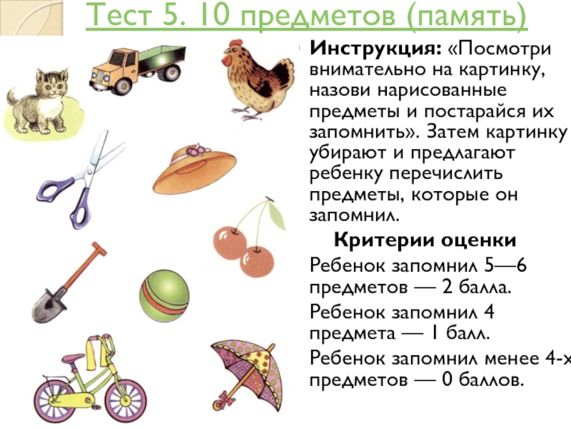 10 предметов