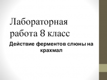 Лабораторная работа Пищеварение в ротовой полости, 8 класс
