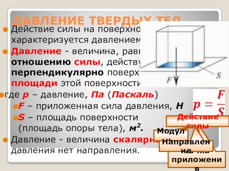 Абсолютная поверхность тела