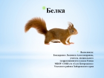 Презентация по биологии на тему Белка (8 класс)