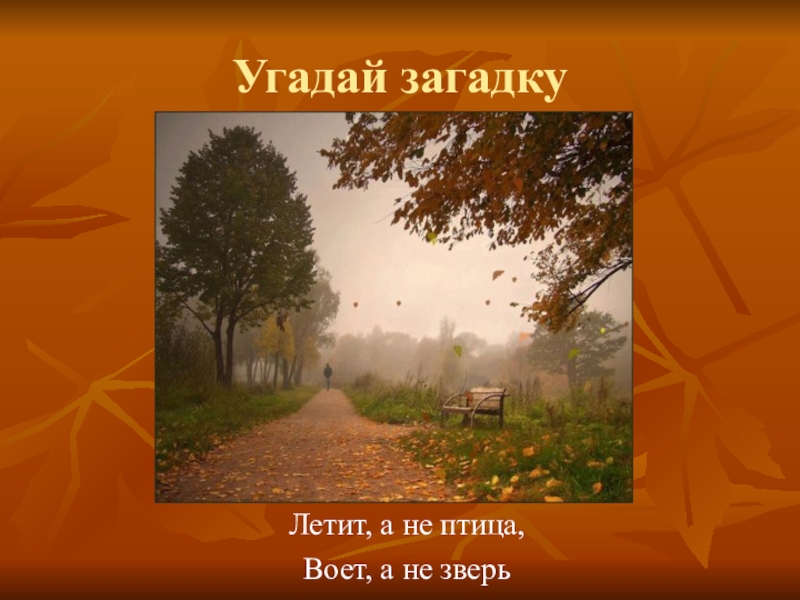 Загадку летит. Загадка летит не птица воет не зверь. Загадка а не птица а не. А не птица а не зверь загадка. Летает а не птица воет а не.