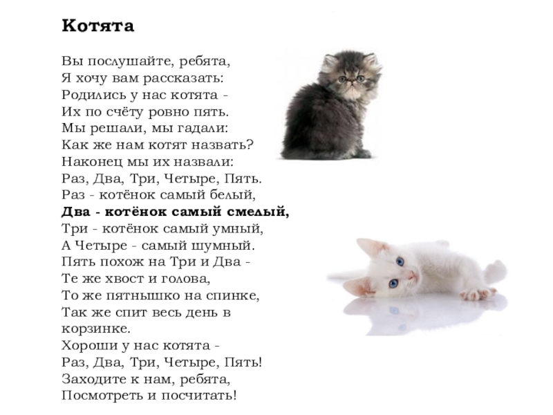 Чье стихотворение котенок