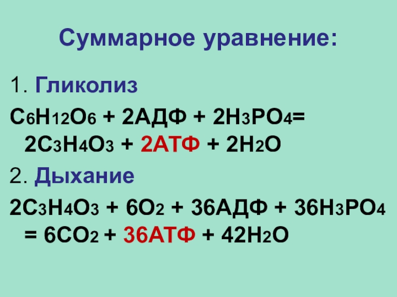 Н2о2. Суммарное уравнение аэробного гликолиза. Н2о+н3ро4. АТФ+н2о. 2с3н4о3+5о2+36адф+36н3ро4=6со2+40н2о+36атф.