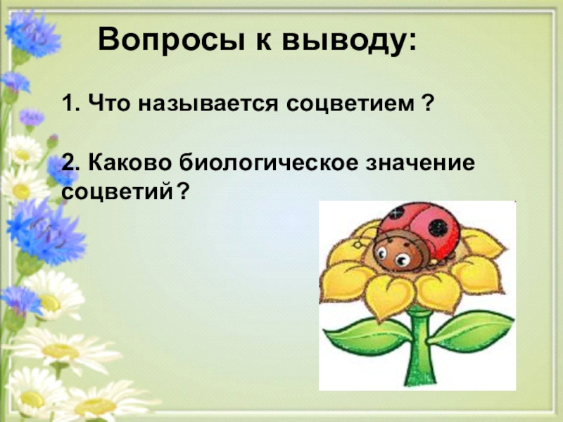 Каково биологическое значение. Каково биологическое значение соцветия. Какова биологическая значение соцветия. Каково значение соцветий. Каково биологическое значение соцветия кратко.