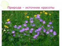 Презентация экологического проекта Вторая жизнь упаковки