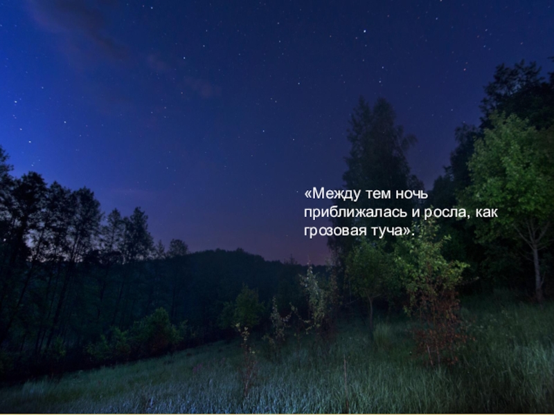 Описание природы ночи. Бежин луг ночью. Ночь приближалась и росла. Приближается ночь. Ночь приближалась и росла как грозовая туча.