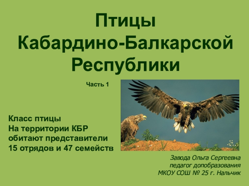 Презентация Презентация по доп. образованию Птицы КБР часть 1