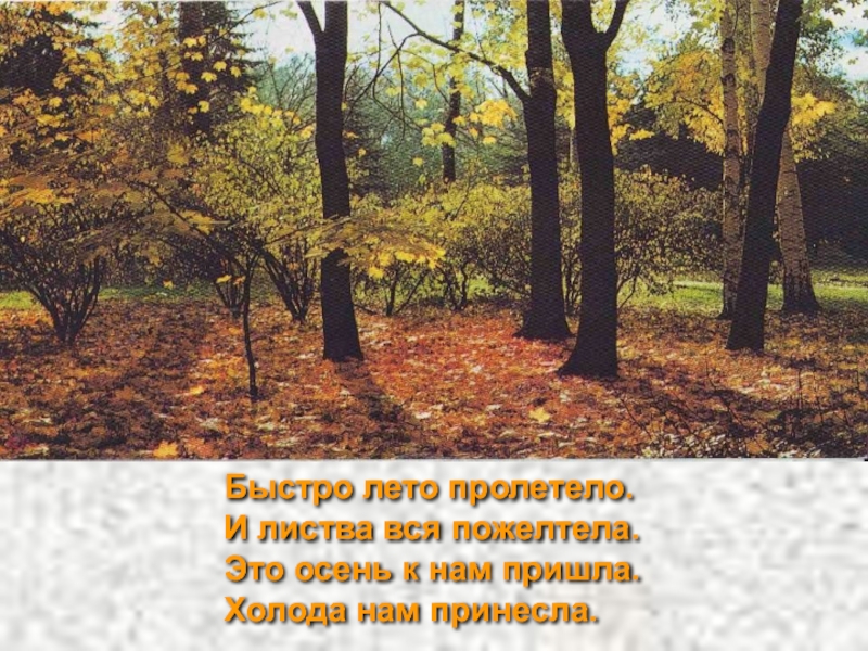 Песня быстро промчались годы. Лето пролетело. Вот и лето пролетело. Стих пролетело лето. Лето промчалось и осень пришла.