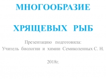 Презентация по биологии Многообразие хрящевых рыб