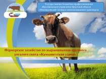 Бизнес-план по разведению крупного рогатого скота