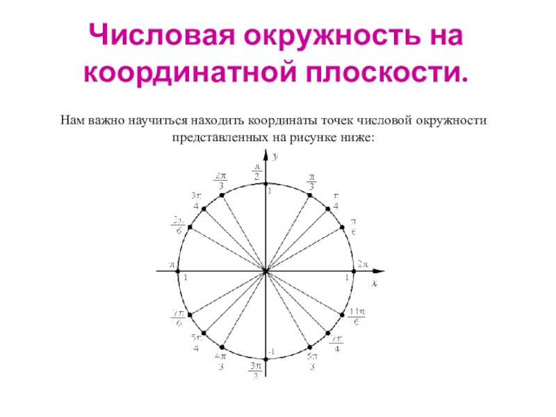 Числовая окружность конспект