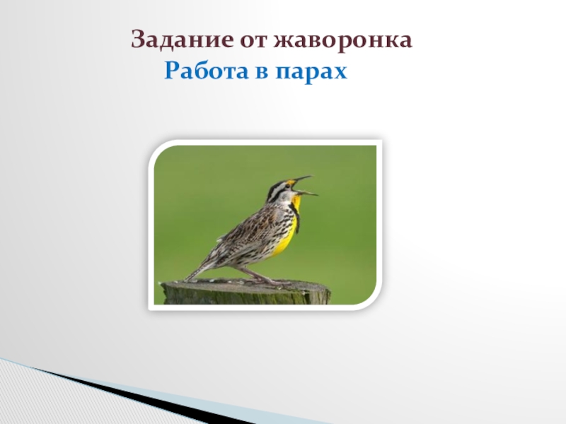 Умная птичка изложение 3 класс пнш презентация