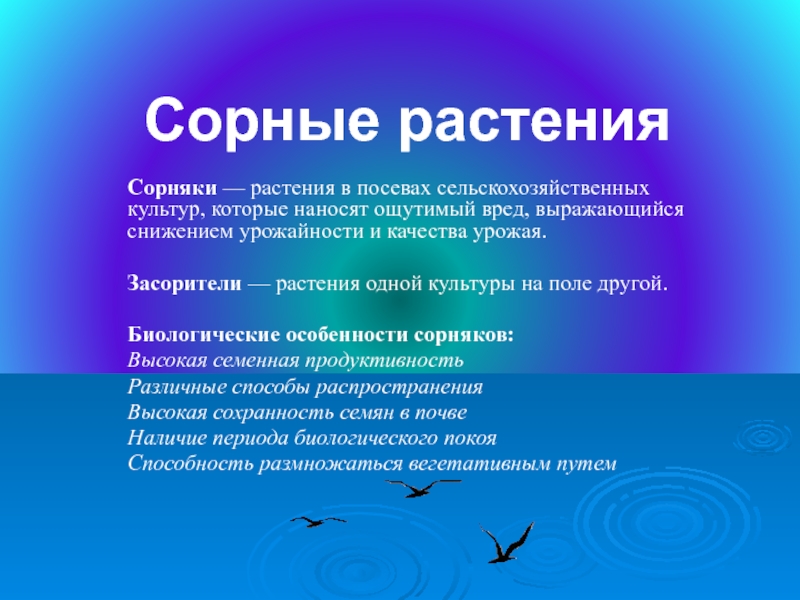 Презентация. Сорные растения Новосибирской области