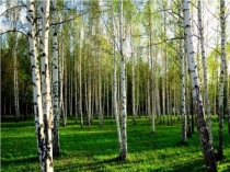 Презентация к уроку Наша Родина - Россия (5 класс)