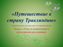 Путешествие в страну Травляндию Экологическое воспитание в старшей группе Раздел: Уход за комнатными и культурными растениями