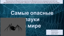 Презентация по окружающему миру Пауки