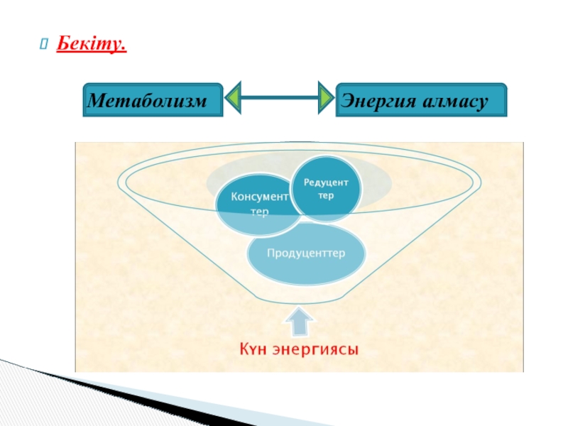 Обмен веществ и энергии тест 6 класс