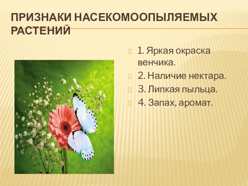 Признаки насекомоопыляемых растений1. Яркая окраска венчика.2. Наличие нектара.3. Липкая пыльца.4. Запах, аромат.