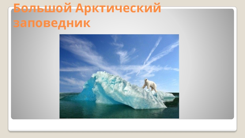 Презентация по географии на тему ООПТ Большой Арктический заповедник