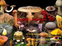 Презентация по окружающему миру Царство грибов