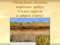 Презентация по окружающему миру на тему Земля - кормилица