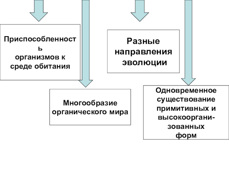 История развития эволюционных идей таблица