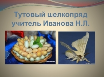 Презентация по биологии по теме Тутовый шелкопряд 7 кл.