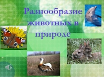 Презентация урока по предмету Окружающий мир на тему: Разнообразие животного мира (3 класс)